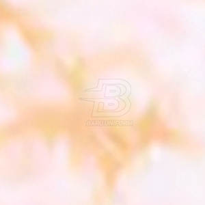 Chándal de sublimación para mujer de calidad superior, chándal de dos piezas, diseña tu propio chándal de sublimación de manga larga para mujer - Product Image 6