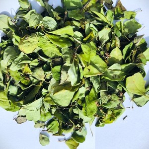 ของตกแต่งจากใบฟลูกเกียแห้งธรรมชาติจากศรีลังกา (ใบคาตุปิลา) คุณภาพสูง เหมาะสำหรับวันรับปริญญาและวันแม่ - Product Image 4