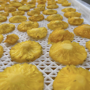 Piña Seca de Vietnam de Grado de Exportación, Preparada con Fruta Madura para Mezclas de Aperitivos, Recetas de Panadería, Usos como Coberturas y Comercio - Product Image 2