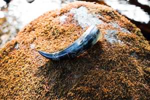 Cuerno vikingo para beber Estilo animal pulido El mejor precio al por mayor para cerveza o vino de hidromiel - Product Image 2