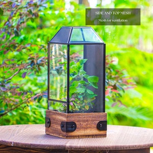 Terrario de Vidrio Hecho a Mano en EE. UU. con Base de Madera y Rejilla de Ventilación para Insectos, Arañas, <span class=keywords><strong>Mantis</strong></span>, Decoración del Hogar - Product Image 6