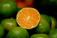 Verse, sappige, zoete, groene sinaasappels uit Vietnam, premium kwaliteit citrusvruchten voor export, klaar voor de internationale markt //Evan
