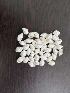 เปลือกหอยเปลือกหอยสีขาวแบบร่องร่องธรรมชาติเปลือกหอยเหมาะสำหรับใช้โดยนักออกแบบเครื่องประดับเพื่อขายต่อ - Product Image 3