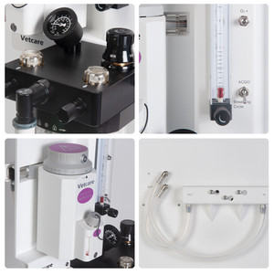 Trung Quốc Nhà sản xuất Gavet-30 thú y gây mê Máy bác sĩ thú y gây mê máy thiết bị cho vật nuôi động vật bệnh viện - Product Image 6