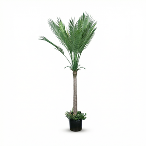 Plante artificielle Palmier du paradis à tige unique - Product Image 3