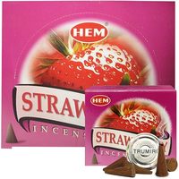 Conos de Incienso HEM de Carbón Vegetal Negro Sólido con Aroma a Fresa, 12 Cajas, Aroma Dulce y Frutal, Meditación, Relajación, Fragancia para el Hogar, Hechos a Mano