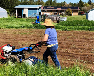Compre Mini Tractor agrícola de dos ruedas Tractor para caminar multiusos 10HP-25HP Garantía de 3 años en stock para la venta - Product Image 5