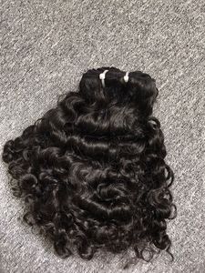 Vente de la meilleure qualité birmane bouclée 100% cheveux humains naturels pour les femmes noires d'extensions de cheveux humains vietnamiens - Product Image 2