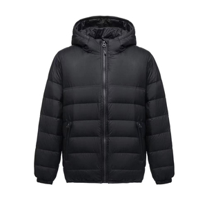 Veste d'hiver rembourrée confortable de haute qualité pour hommes Sweat à capuche en molleton imprimé et manteau en duvet pour femme avec col montant High Street - Product Image 3