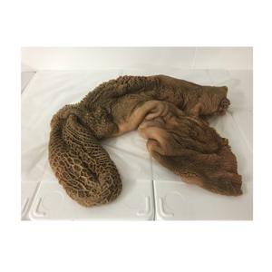 ไส้กรอกวัวเขียวดิบคุณภาพเยี่ยมจากเบลเยียม จำหน่ายขายส่งออนไลน์ - Product Image 2