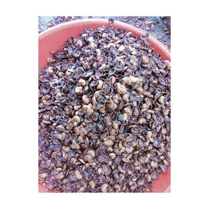 เปลือกเม็ดมะม่วงหิมพานต์คุณภาพดีเยี่ยม - Product Image 2