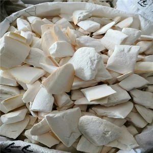 Os de seiche séché de qualité pour perroquets et oiseaux de compagnie - Product Image 3