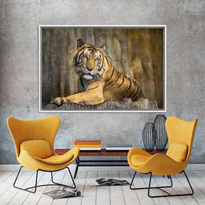 Impresión en Lienzo de Tigre Salvaje Elegante: Decoración Moderna para Cuarto de Hombre, Lienzo con Marco Blanco - Product Image 1