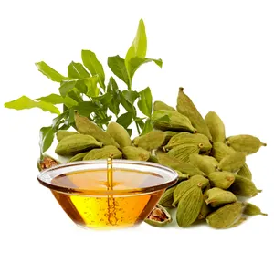 100% Aromatic Cardamom Oil Supply in Bulk Quantity at Best Price Cardamom Essential Oil 100% Pure Organic for Aromatherapy