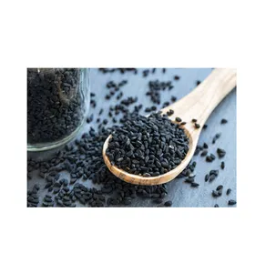 Semillas de Nigella Sativa negras naturales y de alta pureza de calidad estándar/semillas de comino negro de proveedor de origen egipcio