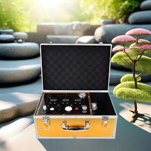 Médecine traditionnelle chinoise préservation de la santé DDS masseur facial dispositif de dragage méridien complet du corps Base acide équilibre visage - Product Image 5