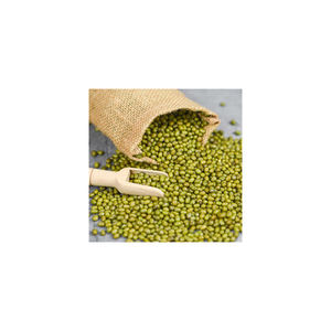 ถั่วเขียวออร์แกนิกสีเขียวสดสไตล์ที่ดีที่สุดสำหรับทำถั่วเขียวแสนอร่อย - Product Image 4