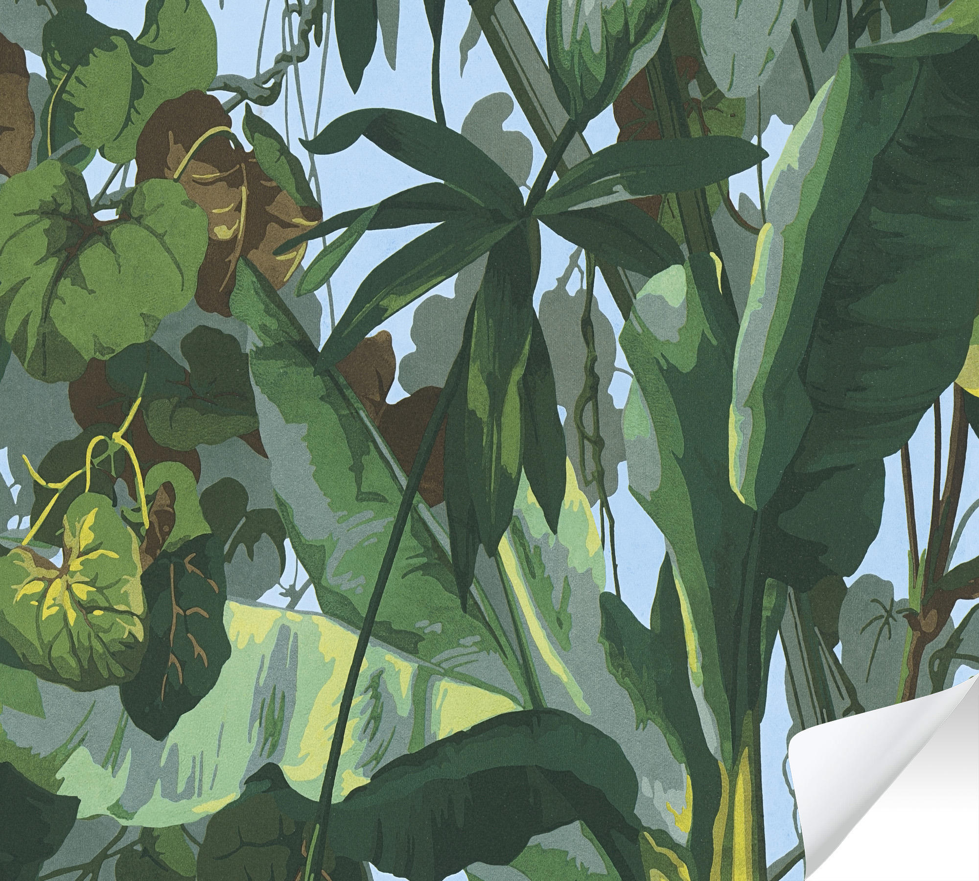 เขียว เทอร์ควอยซ์ น้ำตาล