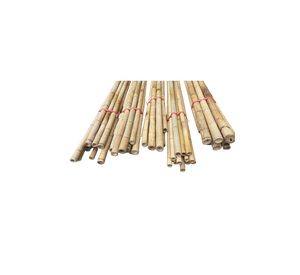 Vietnam manufacture Extra <b>Thick</b> <b>Bamboo</b> Poles - <b>Bamboo</b> Trellis Pole <b>Cane</b> for Garden Construction Projects Wall Decoration - Product Image 5