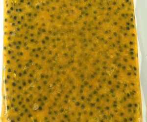 Concentré de jus de fruits de la passion congelé | Brix élevé, goût naturel | Exportateur mondial de Vietnam - Product Image 6