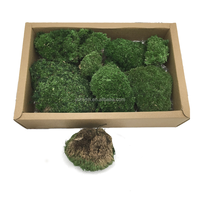 Fournitures florales Vert Préservé Renne Mousse Mur Massif Pôle Mousse Stabilisé Fleurs Préservées pour Noël en vente