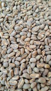 Café en Grains Torréfiés Arabica Robusta Italien Entier Biologique Séché 1kg Sac en Jute en Gros - Product Image 2