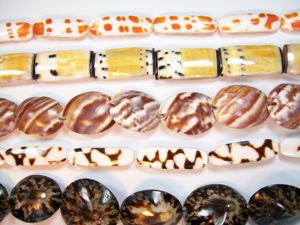 Cuentas de concha, Tigre, cauri, plano, redondo, 20mm - Product Image 2