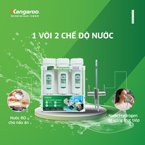 Système de filtre à eau par osmose inverse sous l'évier avec cadre pour ménage 9 étapes filtre à eau par osmose ou purificateur pour la maison - Product Image 4