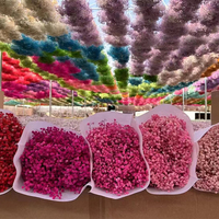 Echte Aanraking Bloemen En Planten Baby Adem Gedroogde Natuurlijke Droge Decoratie Gysopholia Boeket Rustieke Bundels Bloemstukken