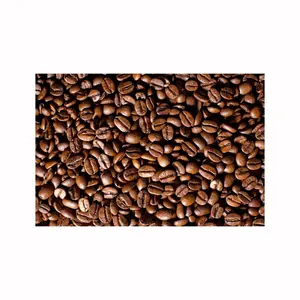 Biologische Koffie Van Hoge Kwaliteit Biologische Koffie Volkoren En Verrijkte Smaak Beste Gearomatiseerde Brazilië Rauwe Koffiebonen