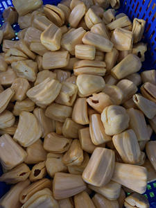 PREMIUM VIETNAMESE FROZEN JACKFRUIT BULK SUPPLY WITH COMPETITIVE PRICE - Product Image 2