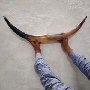 Corne à boire en corne de buffle, décoration murale, faite à la main, polie, toucher réel, taille personnalisée, style animal, Noël, Inde, en gros - Product Image 1
