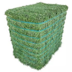 Heno de alfalfa de larga duración, calidad de exportación, alimento para ganado, suministro a granel para la producción industrial de alimento para animales - Product Image 3