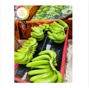 Fresh banana tropical fruit authentic from Vietnam perfect for smoothies salad dessert topping and large <b>scale</b> distribution - Product Image 4