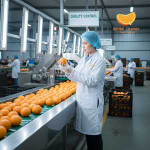 Jeruk Manis Segar Madu Fang Chiang Mai |   Jeruk Grand AA Organik Tinggi Vitamin C |   OEM/ODM Tersedia |   Pasokan Karton Massal Thailand