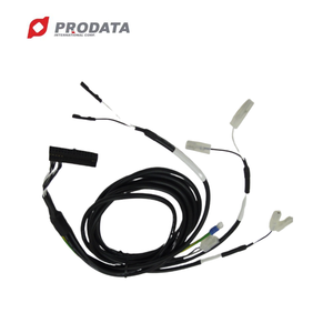 ชิ้นส่วนประกอบสายเคเบิลพีวีซีสำหรับตู้อิเล็กทรอนิกส์แบบกำหนดเองจากไต้หวัน - Product Image 2