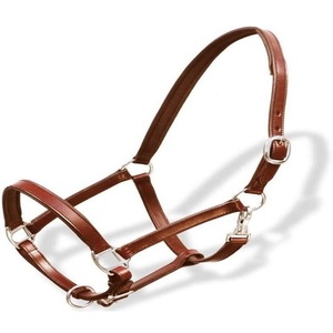 Made of High Quality Buff Leather Elegant Custom Design Horse Racing <b>Halter</b> with Heavy Duty Adjustable Brass Hardware All Sizes - Product Image 1