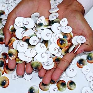 Oeil de Shiva naturel Cabochon de pierres précieuses en vrac Oeil de Shiva pierre précieuse en vrac pour la fabrication de bijoux en pierre pierres précieuses - Product Image 1