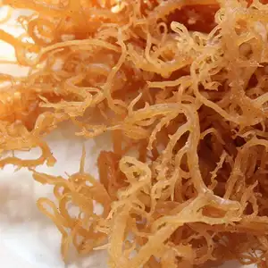 Good Taste Irish Sea Moss Wholesale price from Vietnam