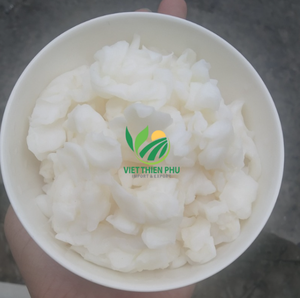 Premium Raw Nata De Coco Vietnam Solución de embalaje a granel de alta calidad para fabricantes globales de bebidas Postre Alimentos Sabor afrutado - Product Image 1