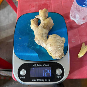 Gingembre frais du Vietnam, qualité supérieure, saveur épicée, fournisseur d'exportation en vrac - Product Image 1
