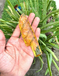 Best Hand Knapped Yellow <b>Glass</b> Knife Collection - Golden <b>Crystal</b> Ritual Blades, Decorative <b>Crystal</b> Display <b>Set</b>, Altar Decor Gift - Product Image 2