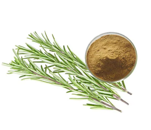 Высококачественный натуральный экстракт розмарина в порошке | 100% органический пищевой консервант розмариновая кислота | Заводские поставки для продуктов питания - Product Image 2