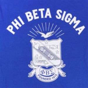 T-shirt à manches longues PBS-Bleu | Chemise Phi Beta Sigma 100% coton avec logo de l'équipe sur le devant et les manches | Vêtements de fraternité pour hommes - Product Image 3