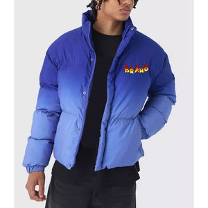 Veste d'hiver pour homme, style décontracté, longue, à capuche, col mandarin, fermeture éclair, légère, respirante, coupe-vent, en duvet - Product Image 2