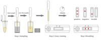 Kit Veterinario para Prueba de Anticuerpos de Brucella Bovina, Prueba de Sangre para el Cuidado de la Salud, Kit de Prueba Rápida BRU Ab para Vacas