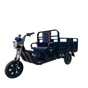 Caja de carga de 1m para Triciclo de carga ligera Motocicleta eléctrica de tres ruedas Triciclo de carga Venta en América