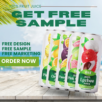 500ml Papaja Sap met Vruchtvlees, Vietnamese Fabrikant, Natuurlijk Aroma, Puree, Beste Prijs, Groothandel, OEM/ODM, Gratis Monster, Ontwerp