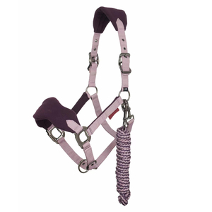 Hecho en fábrica, precio barato, muestra gratis, caballo/vaca, cuerda Halter, Control de cabeza, cuello Halter de caballo con correa ligera, todos los colores - Product Image 3