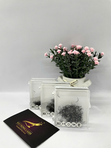 Wholesale 3D <b>Premade</b> Fans Synthetic Hair <b>Lash</b> Trays Natural Volume Cashmere Matte Black 0.07mm Eyelash Extensions Private Label - Product Image 3